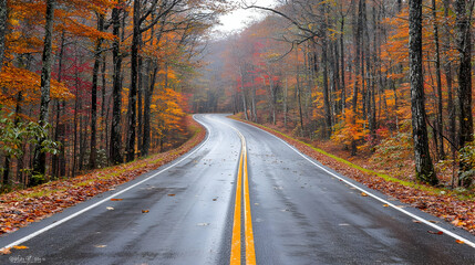 Fototapeta premium Autumn Road Through Colorful Forest In Rain