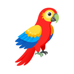 Parrot: The Colorful Birds of the Tropics