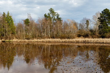views of wildlife and a magical lake on a sunny day. Ecology of pure nature city park