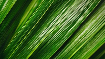 Close-up of vibrant green palm fronds with light stripes abstract botanical nature.