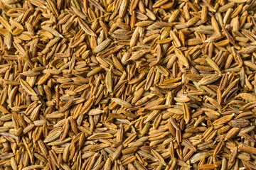 Organic Raw Dry Cumin Seeds