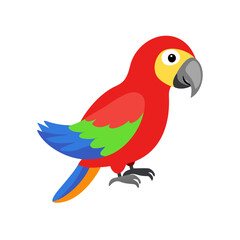 Parrot: The Colorful Birds of the Tropics