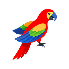 Parrot: The Colorful Birds of the Tropics