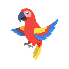 Obraz premium Parrot: The Colorful Birds of the Tropics