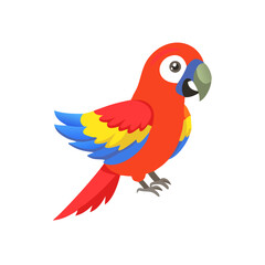 Parrot: The Colorful Birds of the Tropics