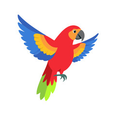 Parrot: The Colorful Birds of the Tropics