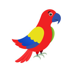 Parrot: The Colorful Birds of the Tropics