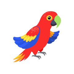 Parrot: The Colorful Birds of the Tropics