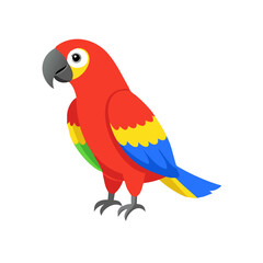 Parrot: The Colorful Birds of the Tropics