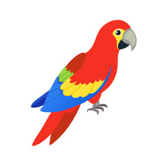 Parrot: The Colorful Birds of the Tropics