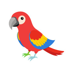 Fototapeta premium Parrot: The Colorful Birds of the Tropics