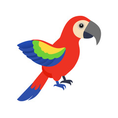 Parrot: The Colorful Birds of the Tropics