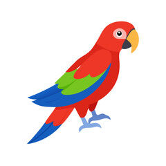 Parrot: The Colorful Birds of the Tropics
