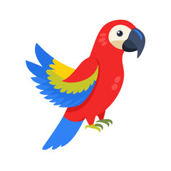 Parrot: The Colorful Birds of the Tropics