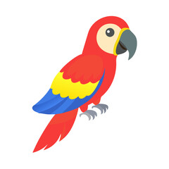 Parrot: The Colorful Birds of the Tropics