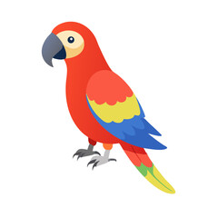 Parrot: The Colorful Birds of the Tropics