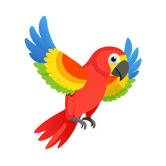 Parrot: The Colorful Birds of the Tropics