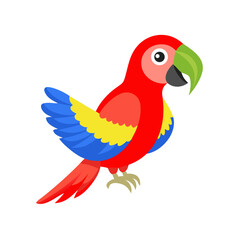 Obraz premium Parrot: The Colorful Birds of the Tropics