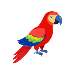 Parrot: The Colorful Birds of the Tropics