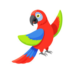 Parrot: The Colorful Birds of the Tropics