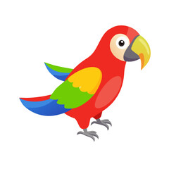 Parrot: The Colorful Birds of the Tropics