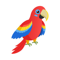 Fototapeta premium Parrot: The Colorful Birds of the Tropics
