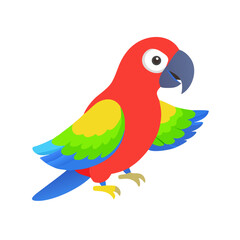 Parrot: The Colorful Birds of the Tropics
