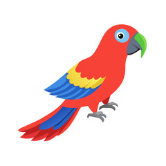 Parrot: The Colorful Birds of the Tropics