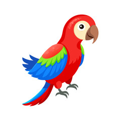 Parrot: The Colorful Birds of the Tropics