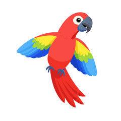 Parrot: The Colorful Birds of the Tropics