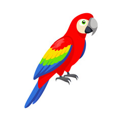 Parrot: The Colorful Birds of the Tropics