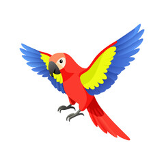 Parrot: The Colorful Birds of the Tropics