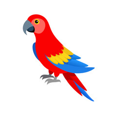 Parrot: The Colorful Birds of the Tropics
