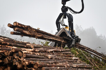 Forestry Machine Logging Equipment Wood Harvesting