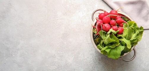 Colander of fresh radish on light background with space for text, top view