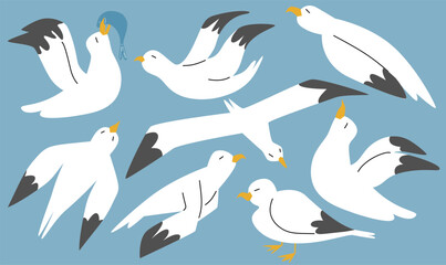 Seagulls flying in blue sky, cartoon atlantic seabird. Sea, Ocean, Gull, bird set. Big oceangull pack isolated on sky background