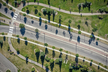 Street with a crosswalk and a few trees