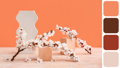 Decorative podiums with beautiful blooming tree branches and flowers on colorful background