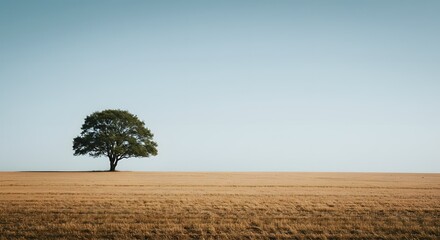 Solitary tree in an open field under a pale blue sky, peaceful minimalist nature scene