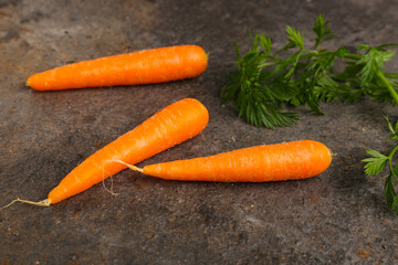 Fresh carrots on dark background