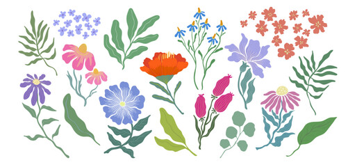 Botanical flower and leaf vector illustration set. Flowers and leaves colorful doodle art for print, wallpaper, clipart, wall art. Hand drawn flat design art.