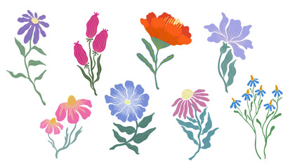 Botanical flower and leaf vector illustration set. Flowers and leaves colorful doodle art for print, wallpaper, clipart, wall art. Hand drawn flat design art.