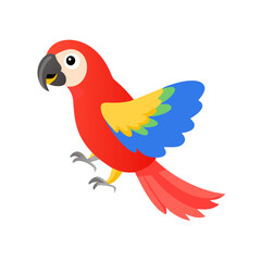 Parrot: The Colorful Birds of the Tropics