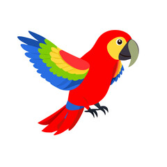 Parrot: The Colorful Birds of the Tropics
