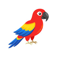 Parrot: The Colorful Birds of the Tropics