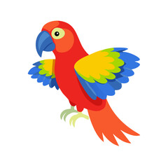 Parrot: The Colorful Birds of the Tropics
