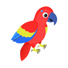 Parrot: The Colorful Birds of the Tropics