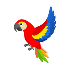 Parrot: The Colorful Birds of the Tropics
