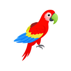 Parrot: The Colorful Birds of the Tropics