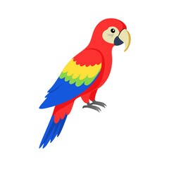 Parrot: The Colorful Birds of the Tropics